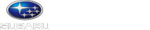 張替自動車